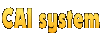CAI system